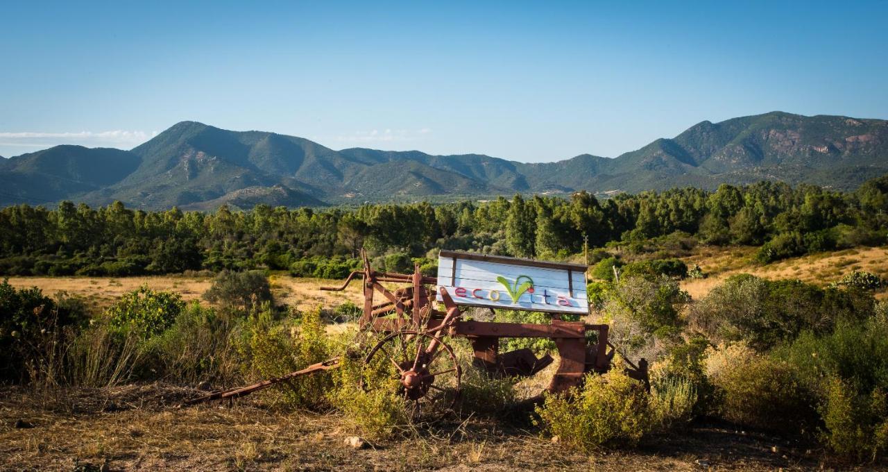 Ecovita Agri-glamping Luxury tent San Vito (Sardinia)