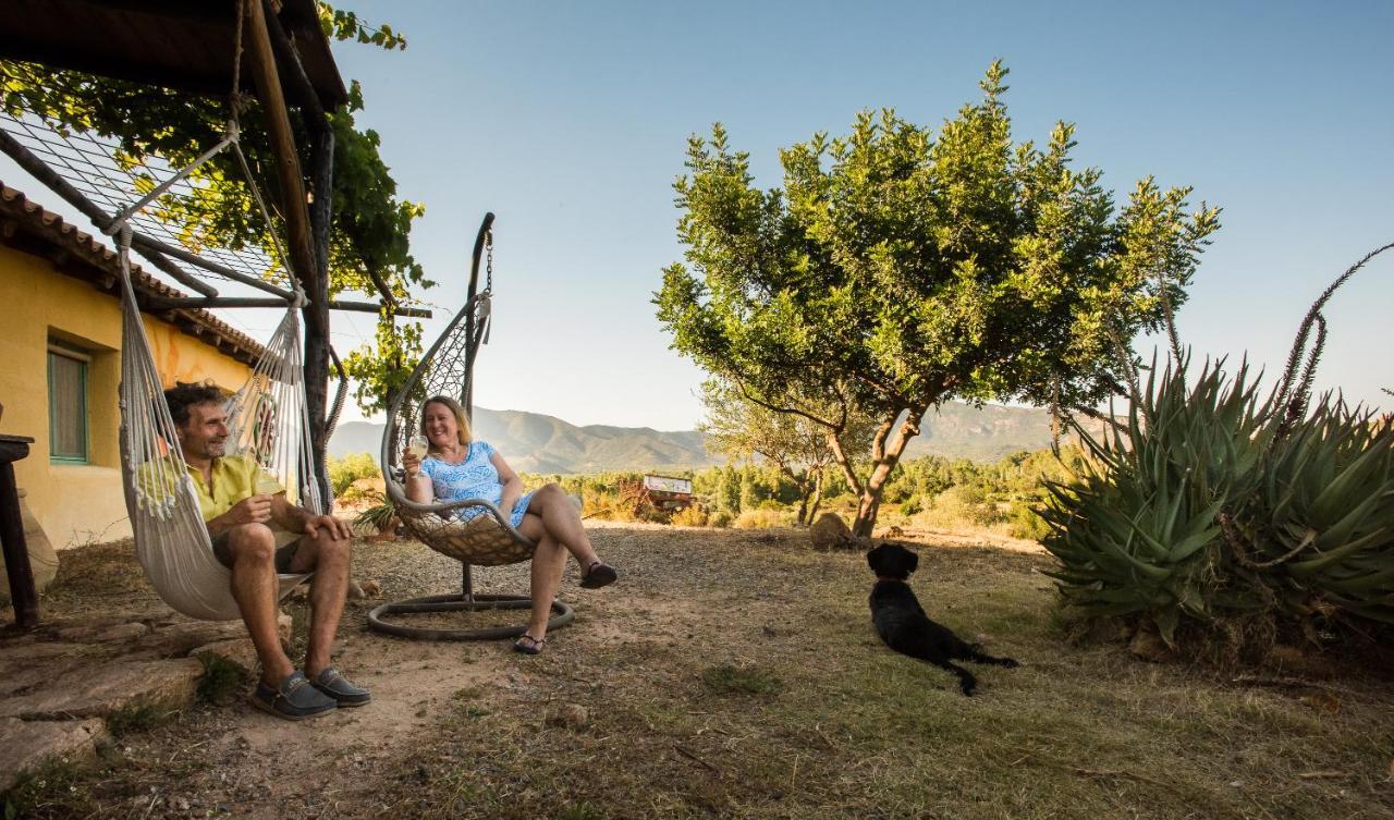 Luxury tent Ecovita Agri-glamping