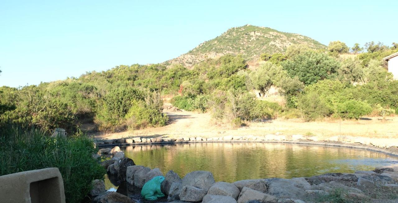Luxury tent Ecovita Agri-glamping San Vito (Sardinia)