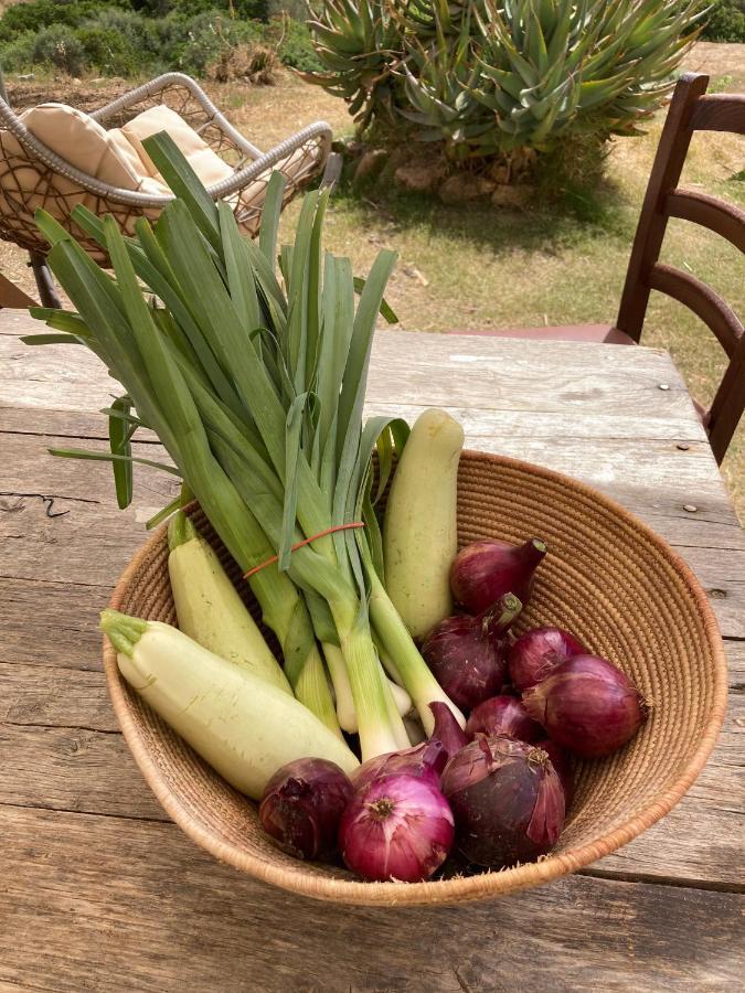 Ecovita Agri-glamping San Vito (Sardinia)