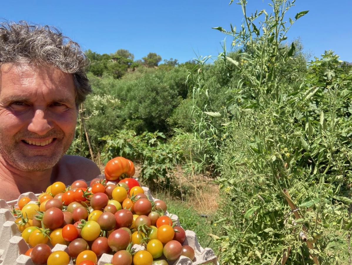 Ecovita Agri-glamping San Vito (Sardinia)